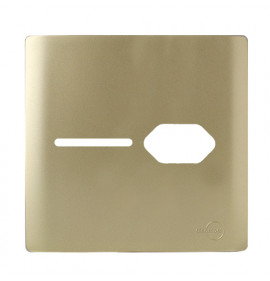 Placa p/ 1 Interruptor + Tomada 4x4 - Novara Dourado